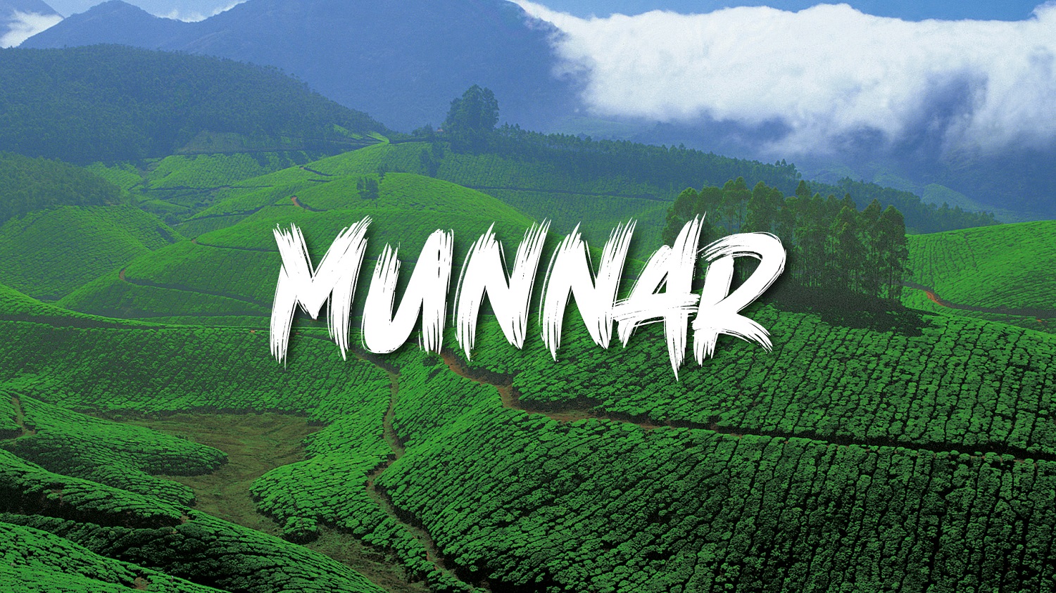 Misty Munnar Escape
