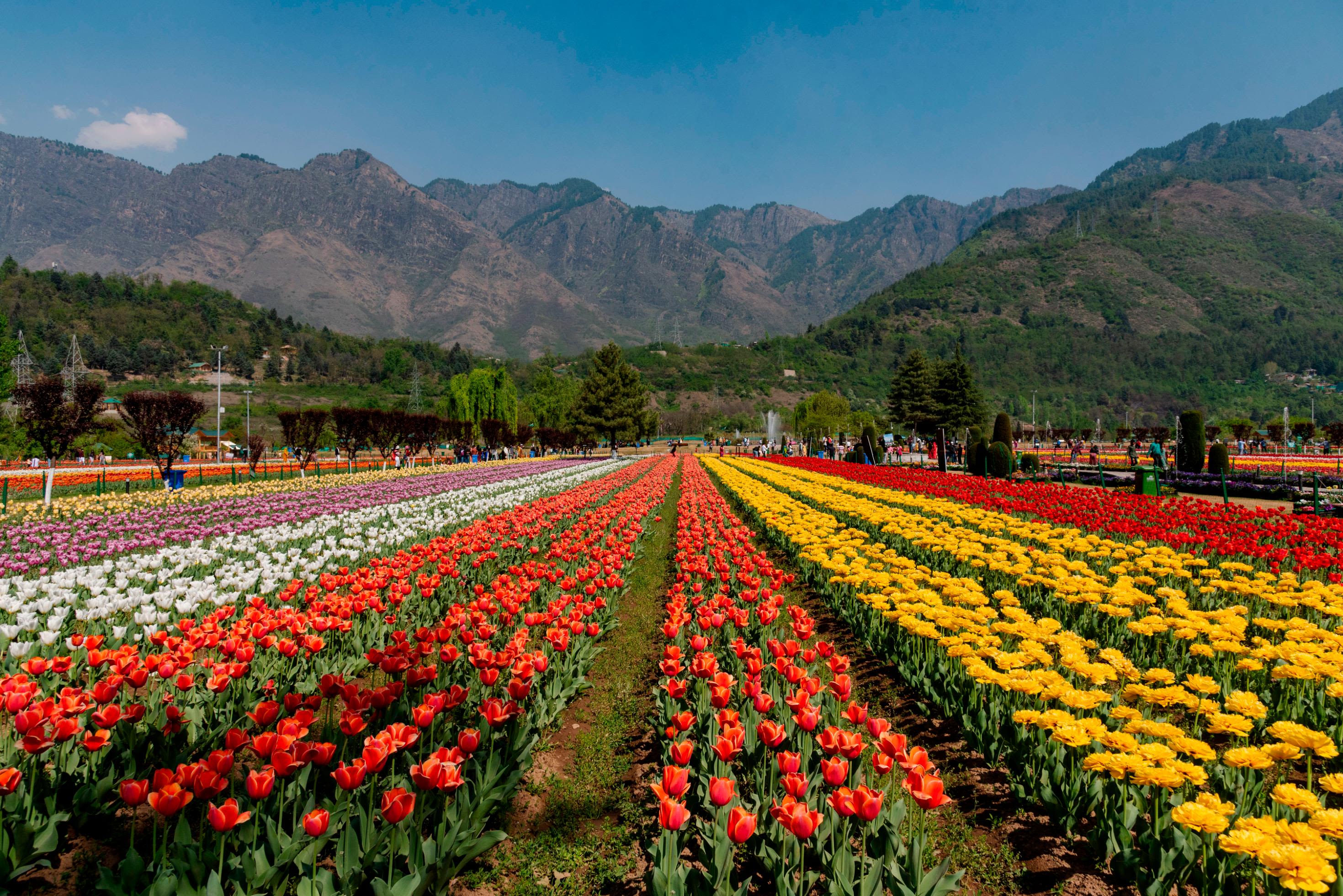 Serene Kashmir