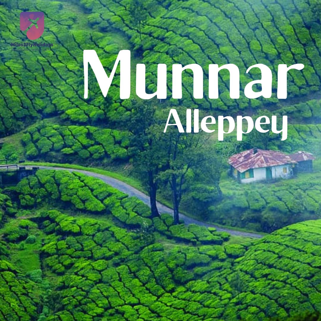 Beautiful Munnar And Alleppey